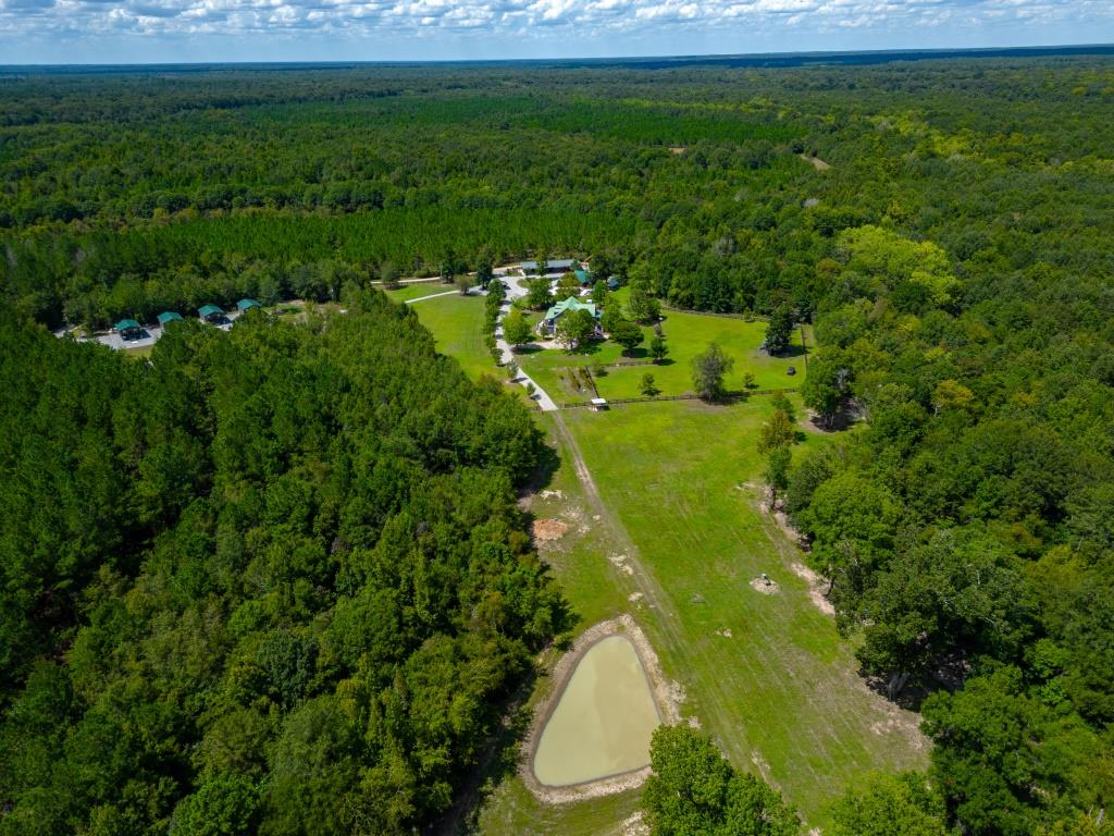 Greentop Plantation on Ocmulgee River Photo