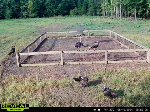 Greentop Plantation on Ocmulgee River Photo