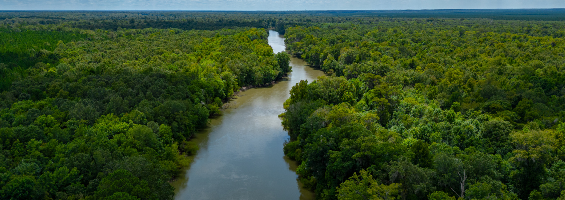 Greentop Plantation on Ocmulgee River Main Photo