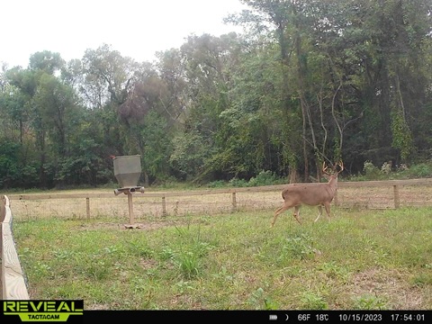 Greentop Plantation on Ocmulgee River Photo