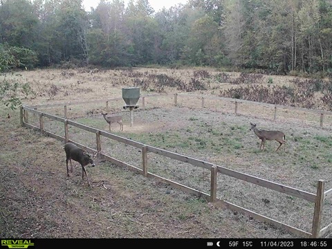 Greentop Plantation on Ocmulgee River Photo