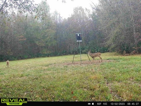 Greentop Plantation on Ocmulgee River Photo