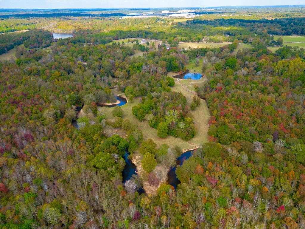 Echeconnee Creek Hideout Photo