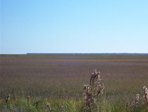 Marsh Front Barbour Island Lot Photo