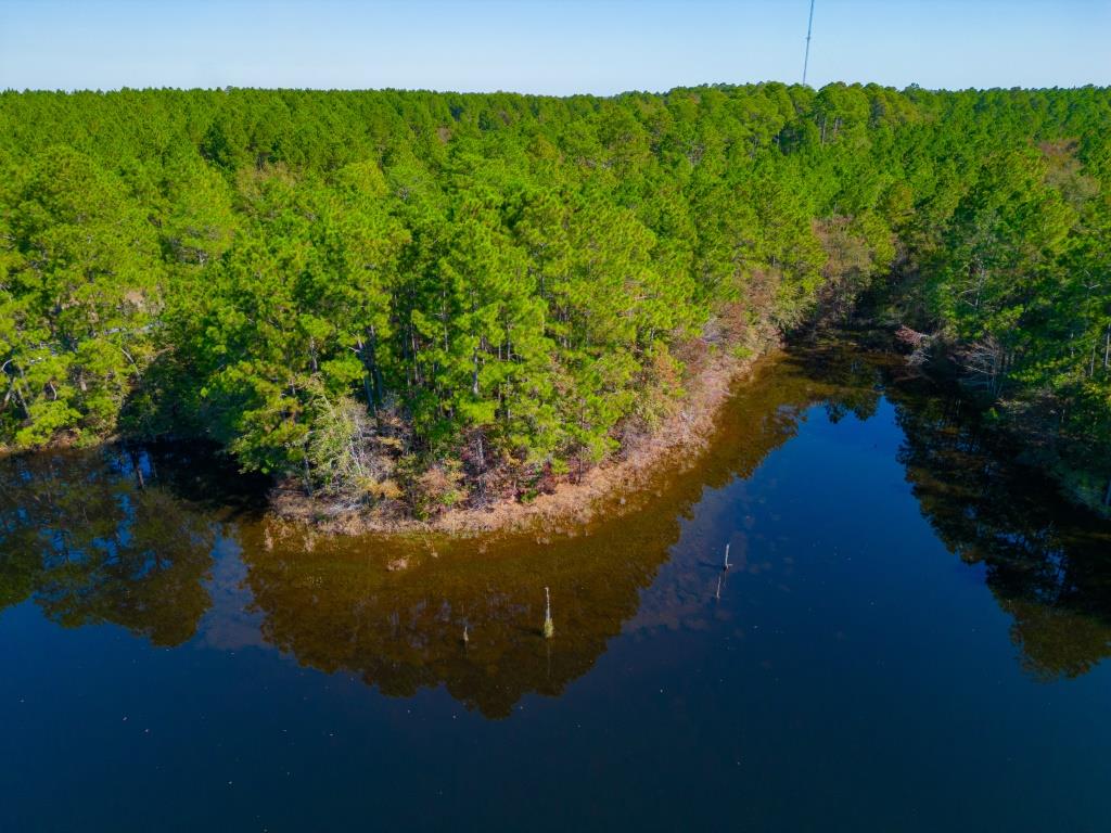 Crisp Pond Property Photo