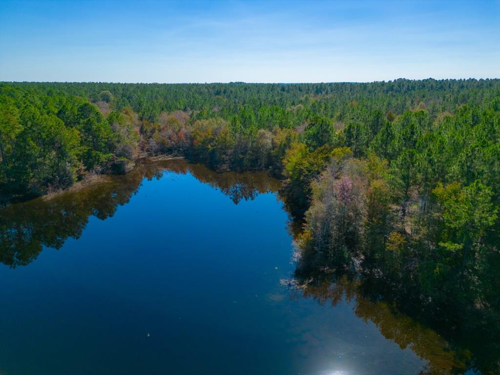 Crisp Pond Property Photo