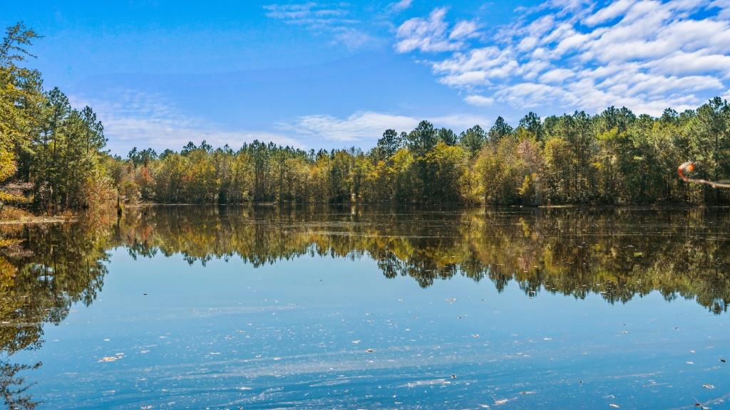 Crisp Pond Property Photo