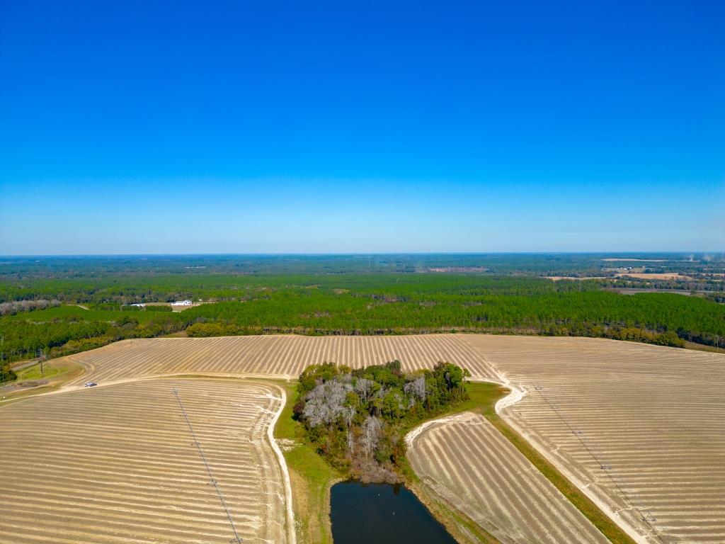 Crisp Pond Property Photo