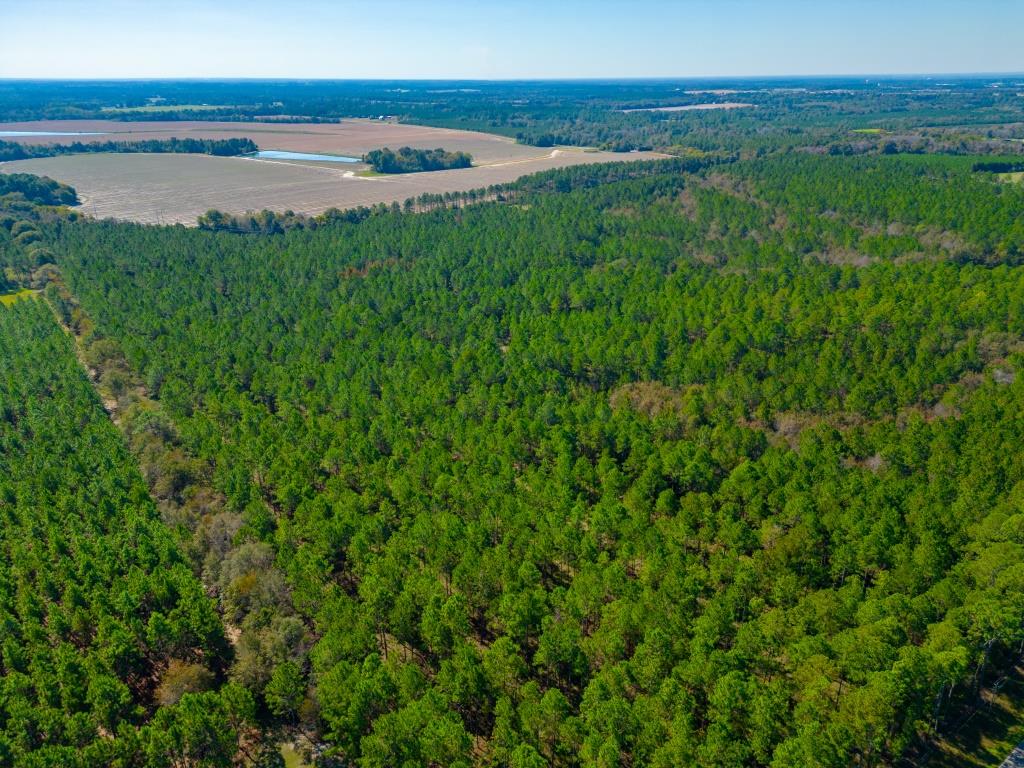 Crisp Pond Property Photo