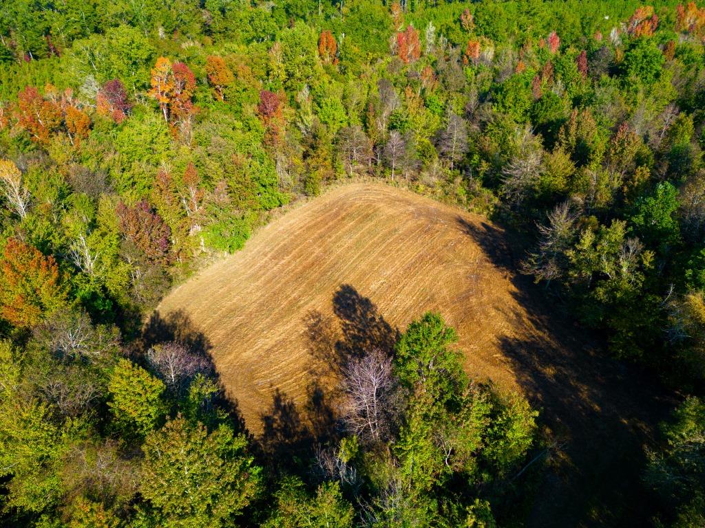 Buck Island Farm Photo