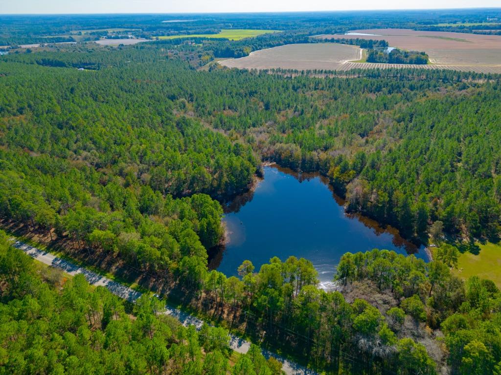 Crisp Pond Property Photo