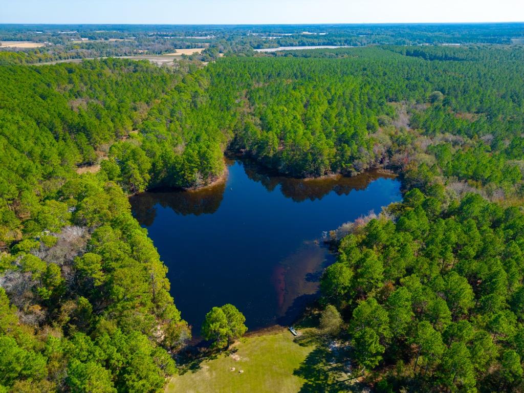 Crisp Pond Property Photo