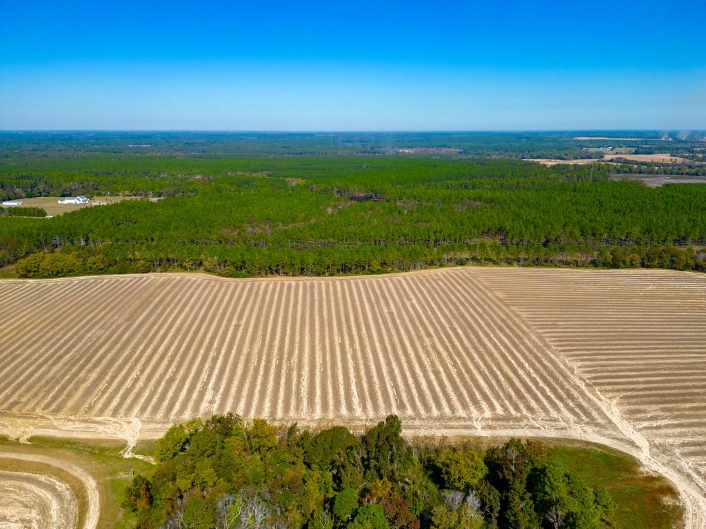 Crisp Pond Property Photo