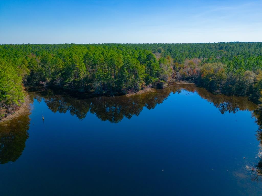 Crisp Pond Property Photo