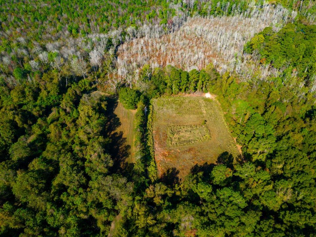 Buck Island Farm Photo