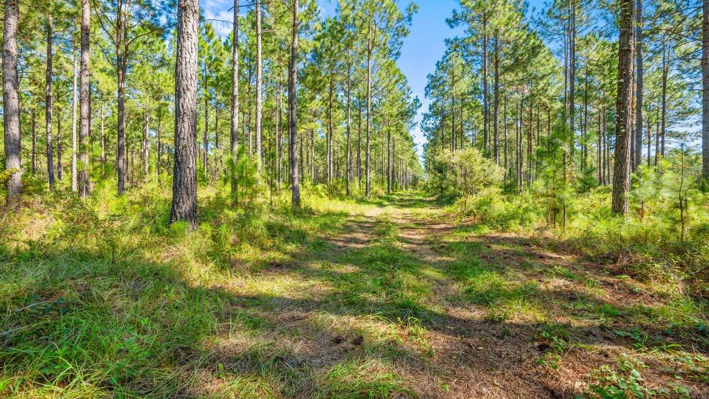 Crisp Pond Property Photo