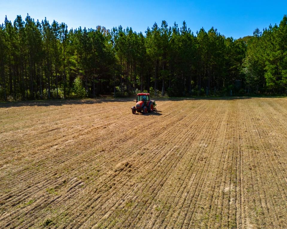 Buck Island Farm Photo