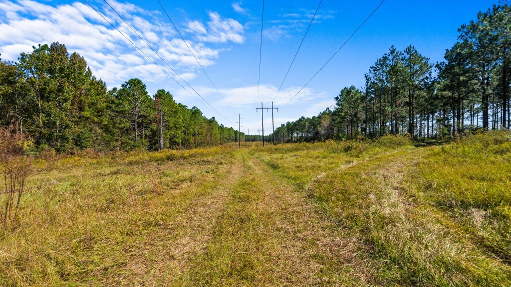 Crisp Pond Property Photo