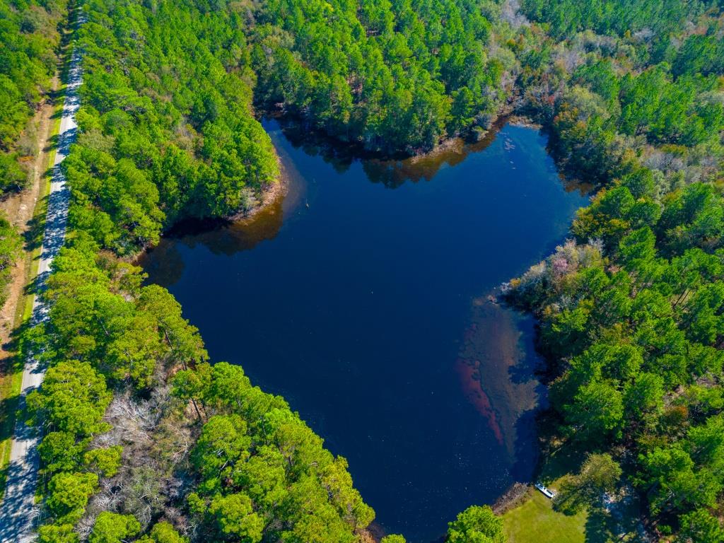 Crisp Pond Property Photo