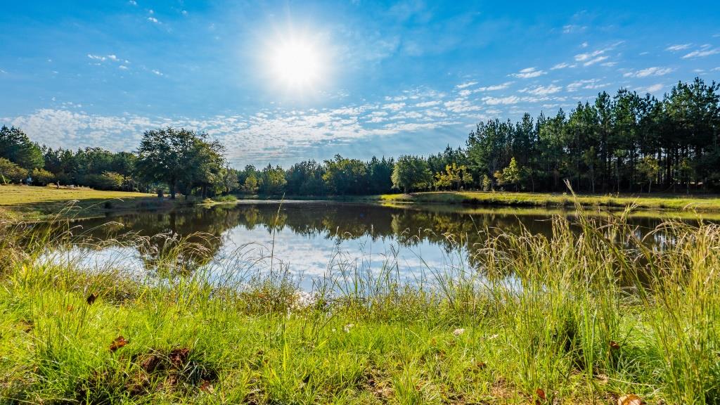 Buck Island Farm Photo