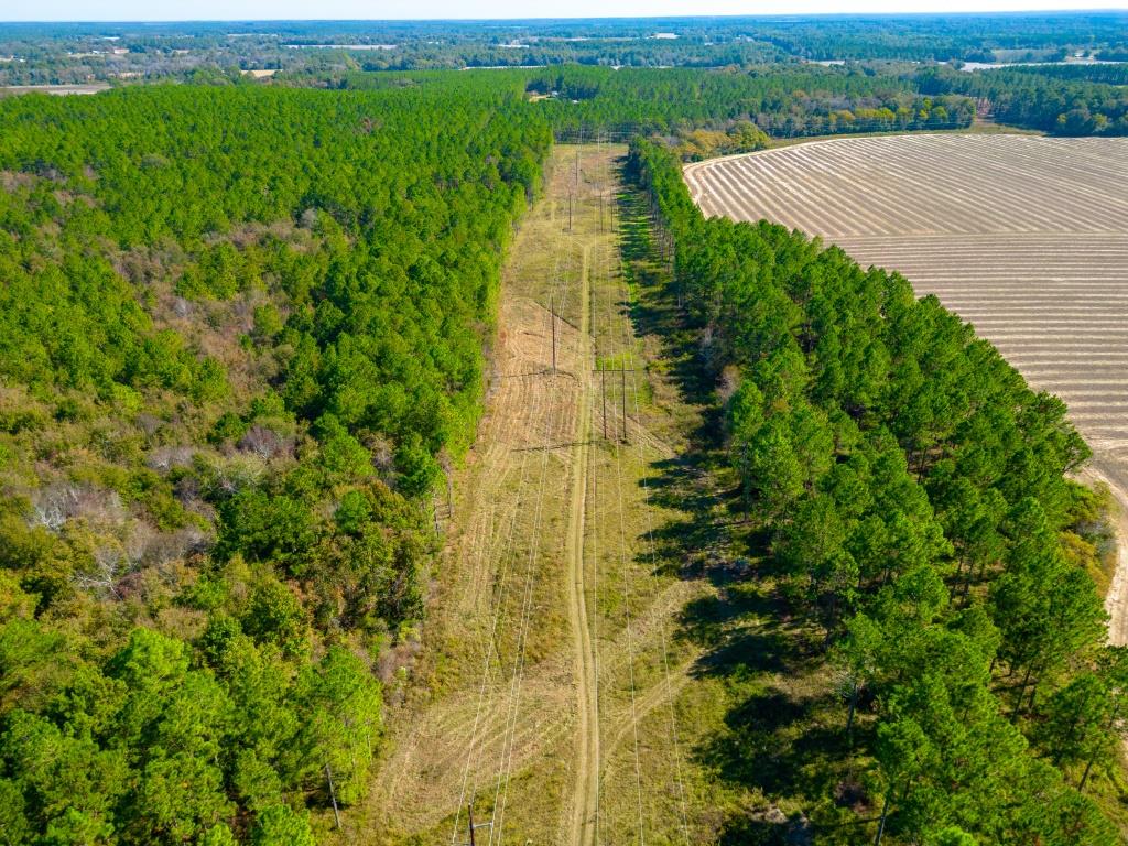 Crisp Pond Property Photo