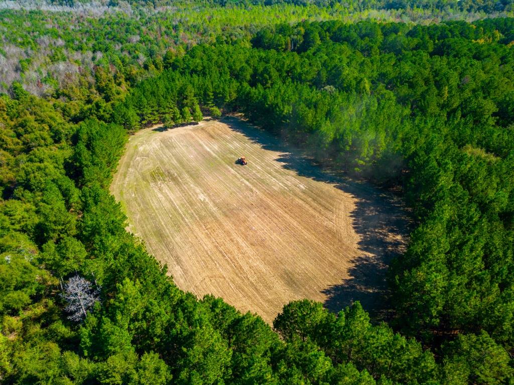 Buck Island Farm Photo