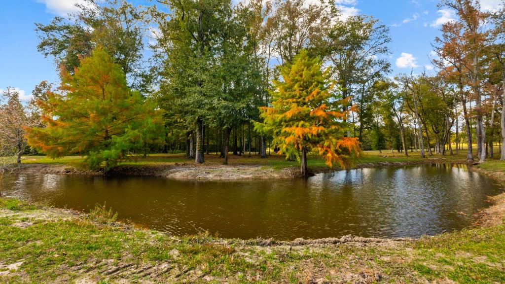 Echeconnee Creek Hideout Photo