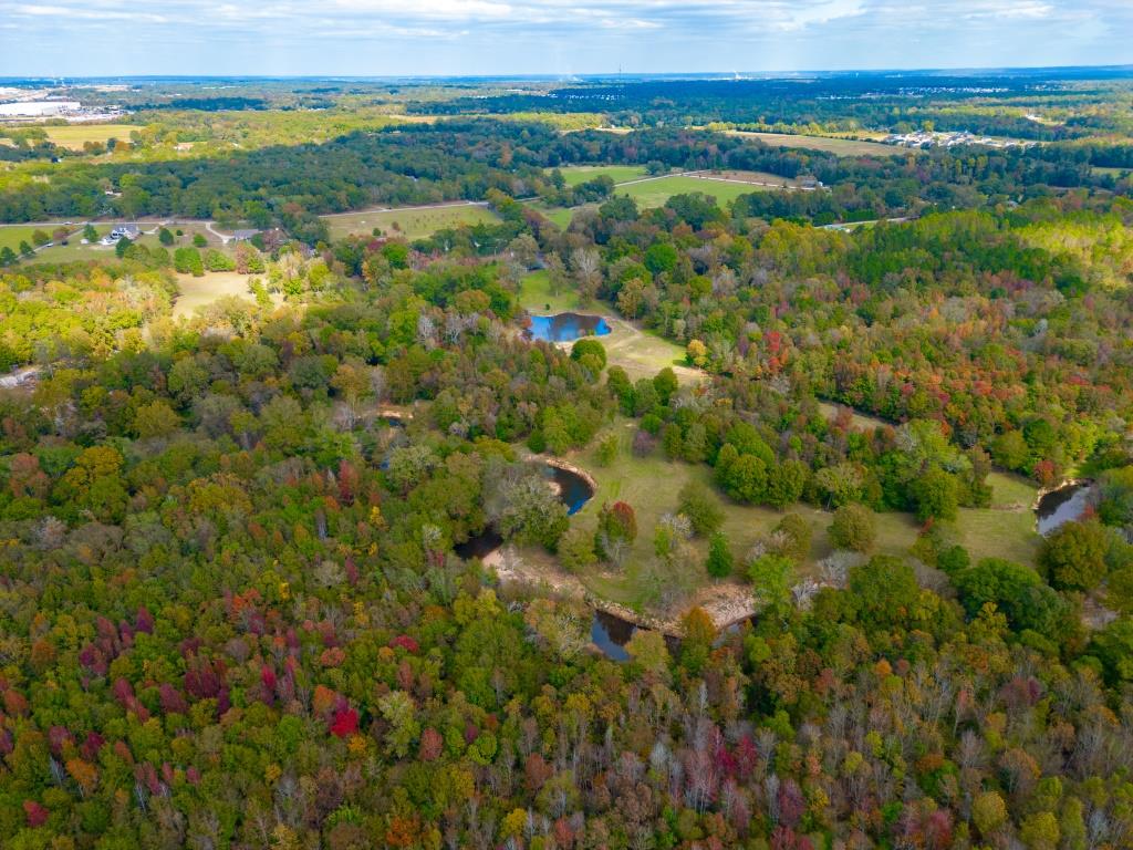 Echeconnee Creek Hideout Photo