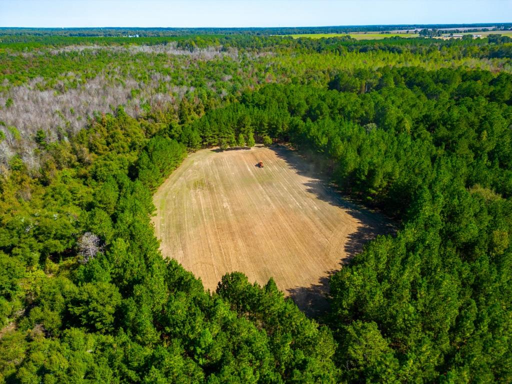 Buck Island Farm Photo