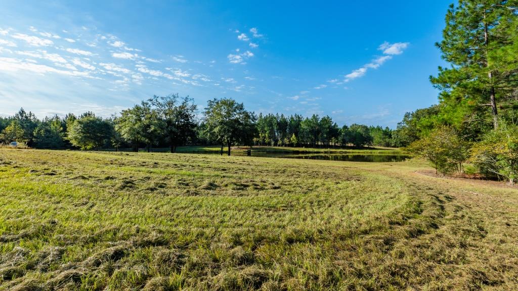 Buck Island Farm Photo