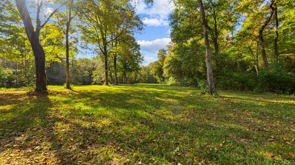 Echeconnee Creek Hideout Photo