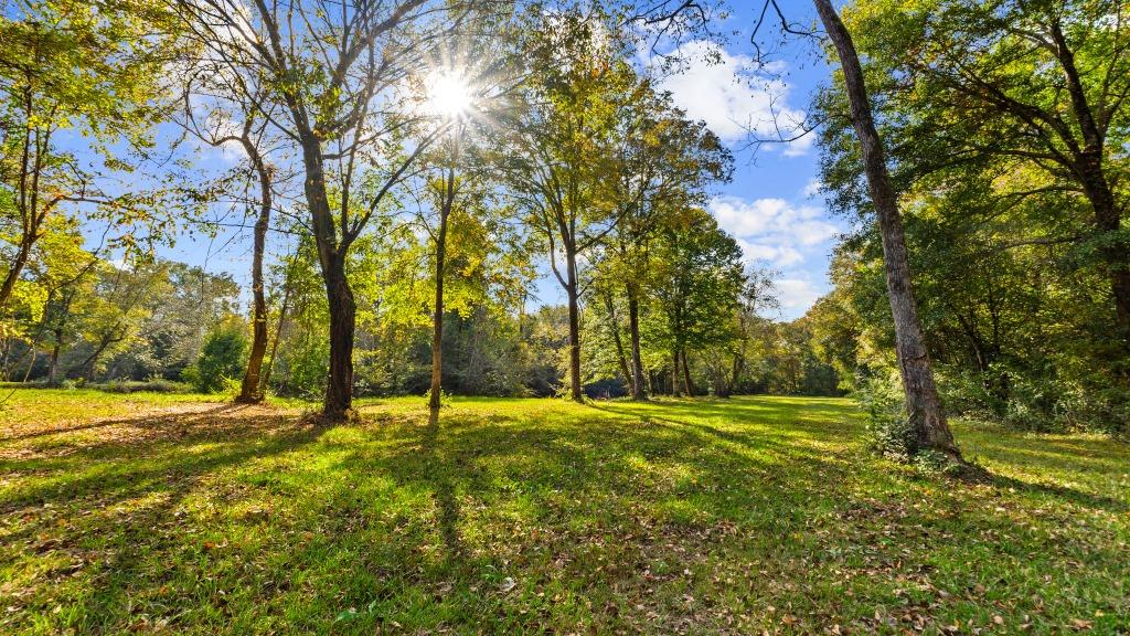 Echeconnee Creek Hideout Photo