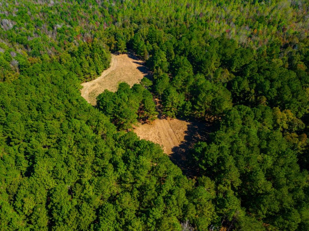 Buck Island Farm Photo