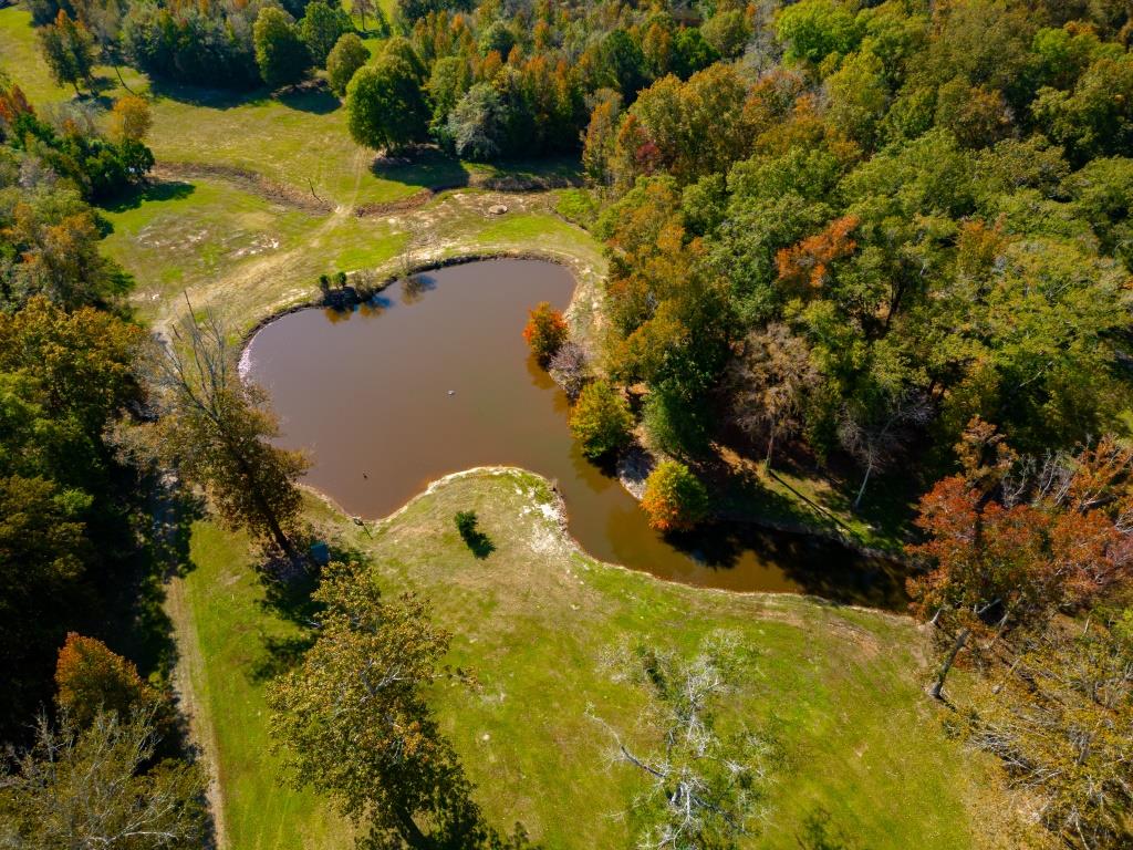 Echeconnee Creek Hideout Photo