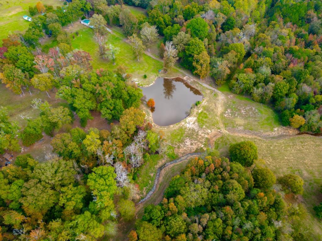 Echeconnee Creek Hideout Photo