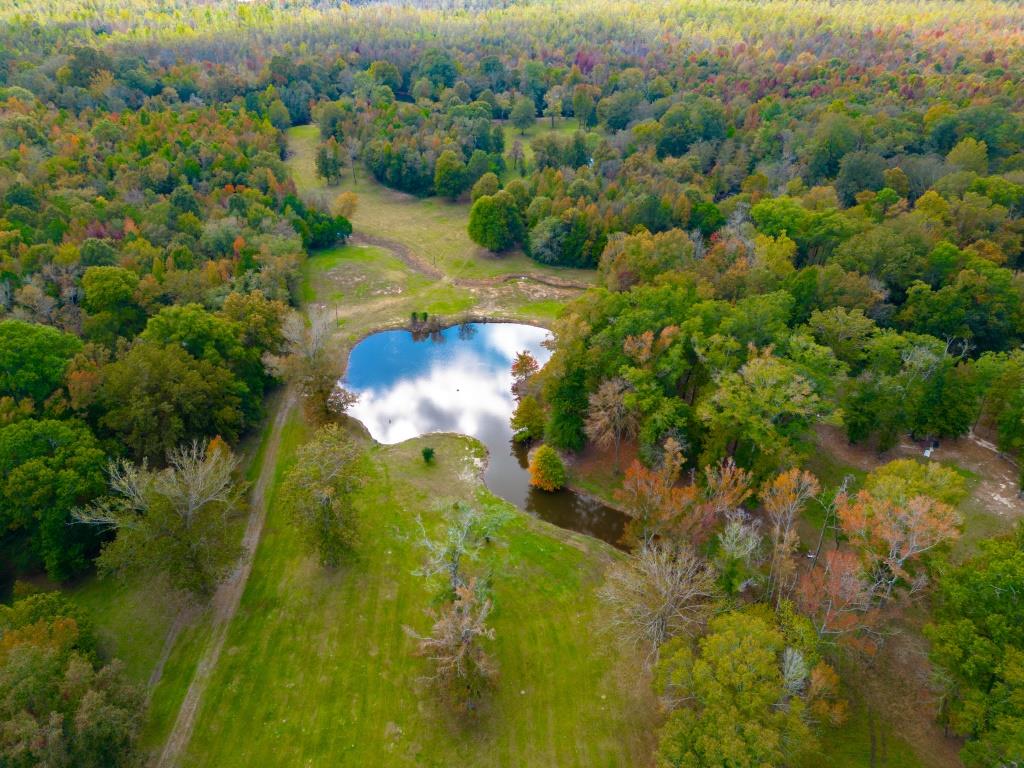 Echeconnee Creek Hideout Photo