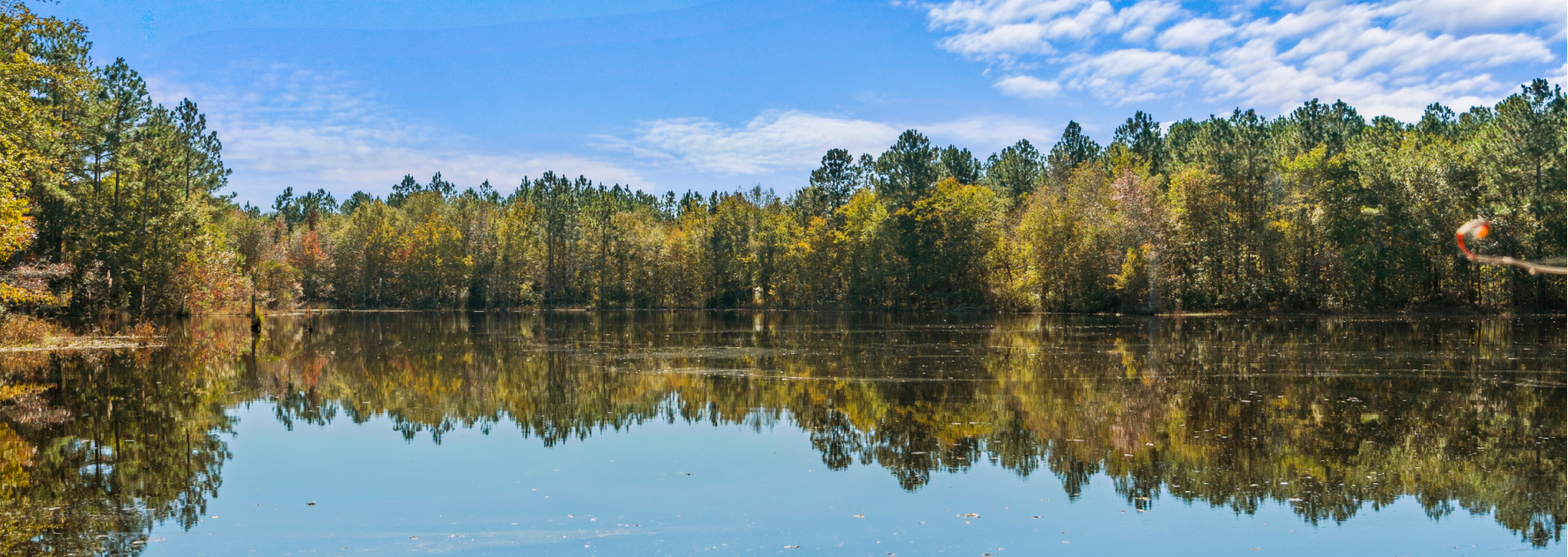 Crisp Pond Property Photo