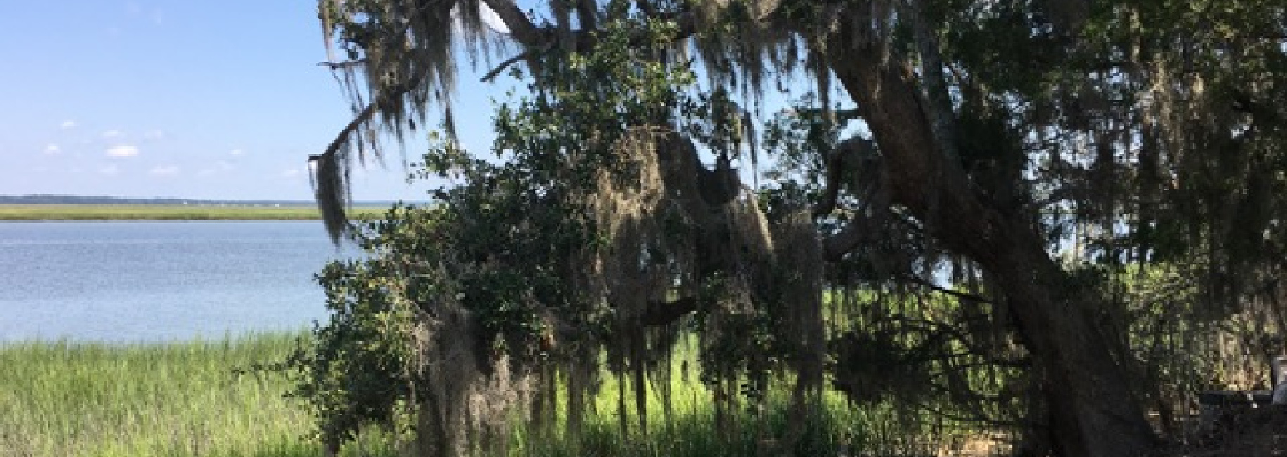 Marsh Front Barbour Island Lot Main Photo