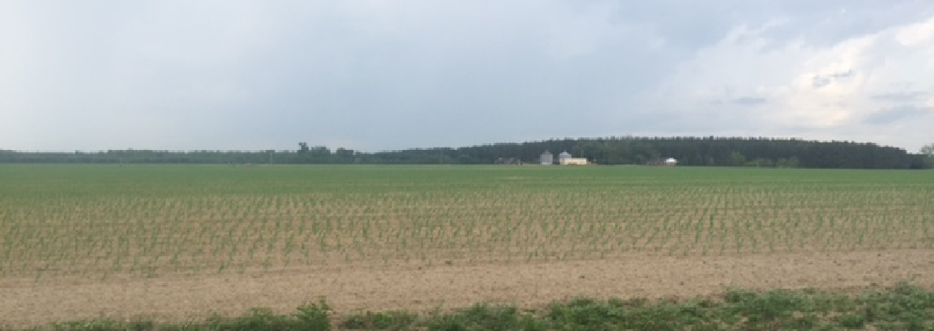 Rocky Ford Farm Main Photo