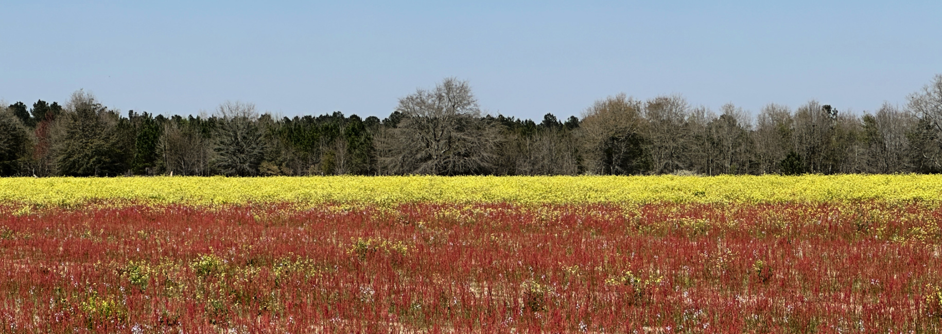 Seaborn Farm – Tract 3 Main Photo