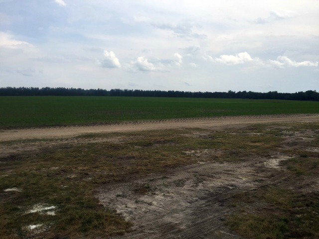 Rocky Ford Farm Photo