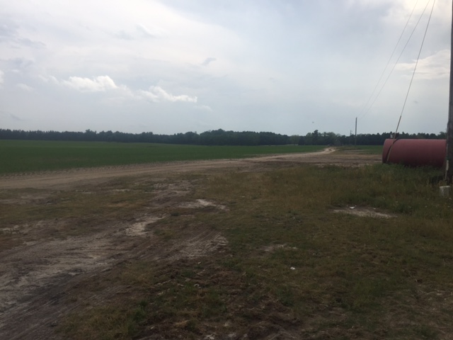 Rocky Ford Farm Photo