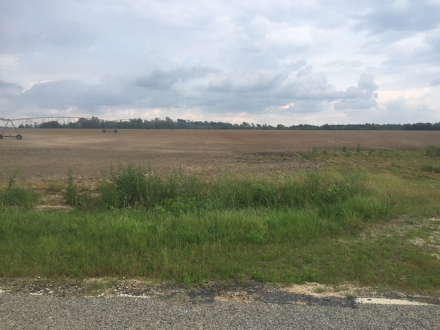 Rocky Ford Farm Photo