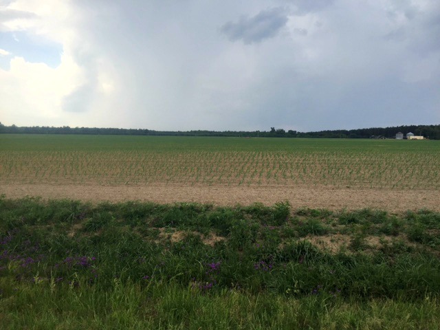 Rocky Ford Farm Photo