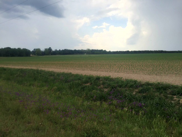 Rocky Ford Farm Photo