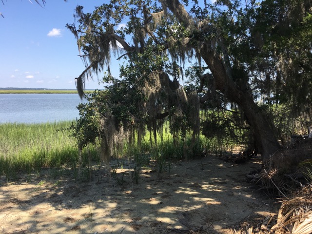 Marsh Front Barbour Island Lot Photo