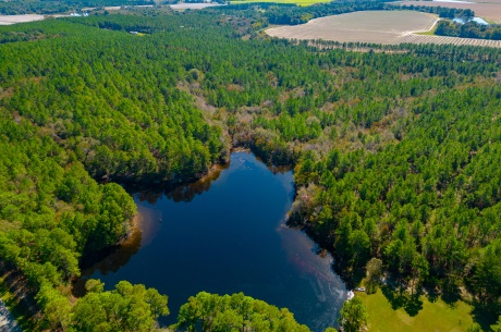 Crisp Pond Property