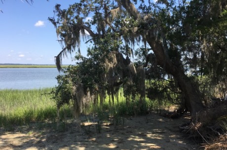 Marsh Front Barbour Island Lot