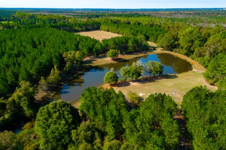 Buck Island Farm