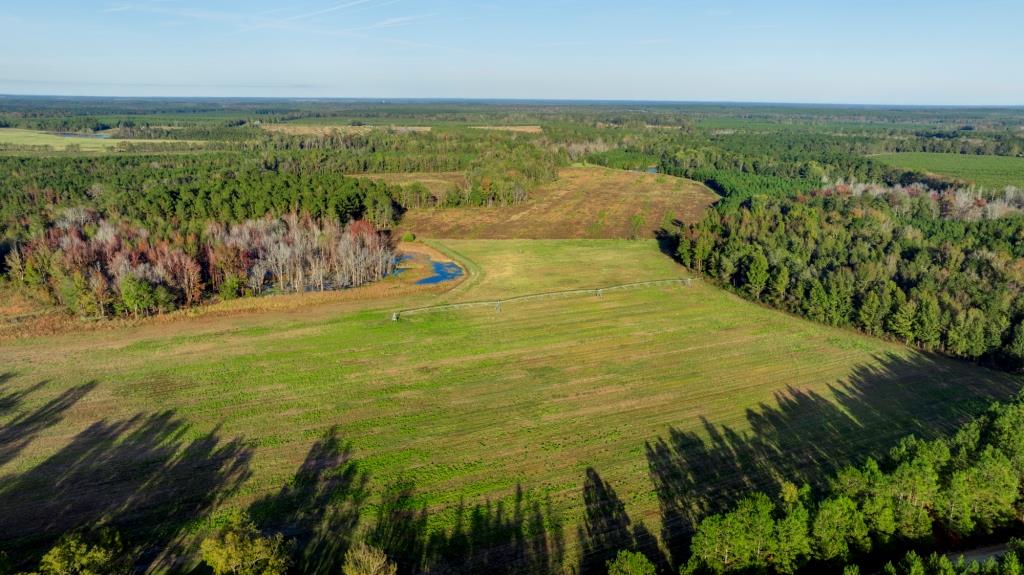 Water Oak Farm Photo